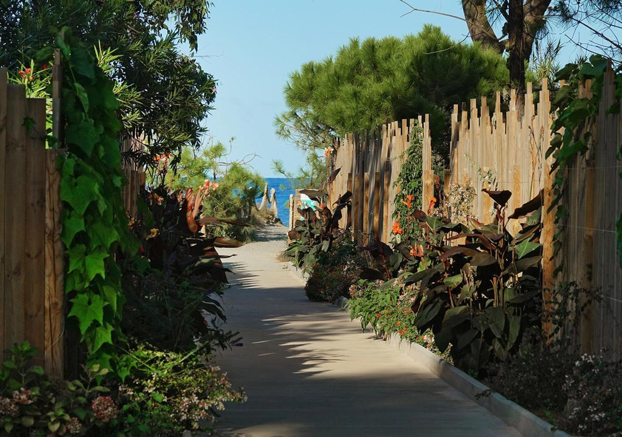Camping San Damiano Biguglia  Exteriör bild