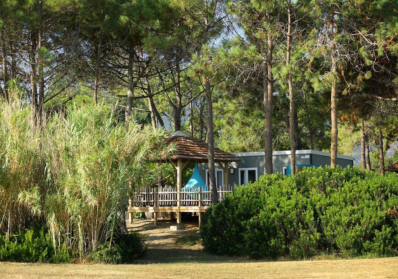 Camping San Damiano Biguglia  Exteriör bild
